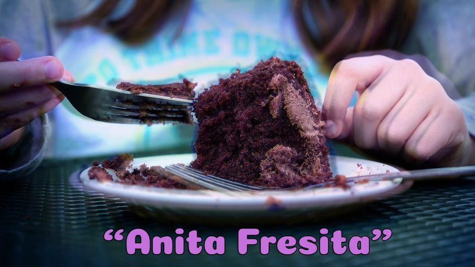 Obra Anita Fresita