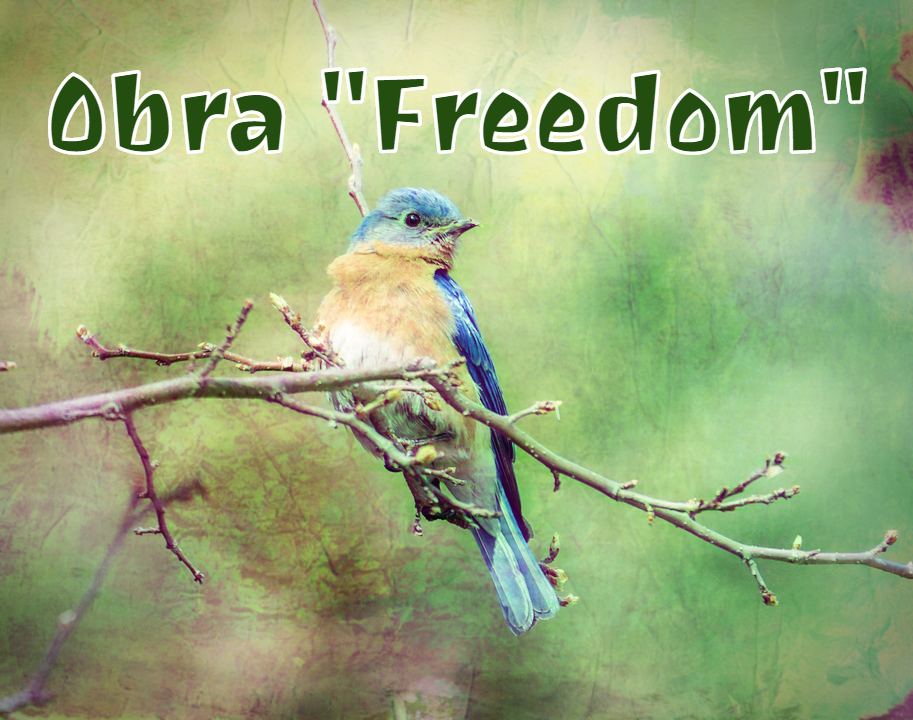 Obra Freedom